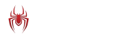 Spiderverso logo